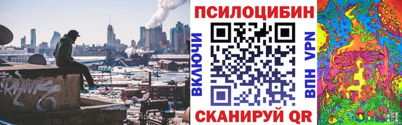 Псилоцибиновые грибы MAGIC MUSHROOMS  где можно купить   Вихоревка 